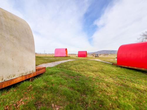 Saint Asaph Casa | Pod 6