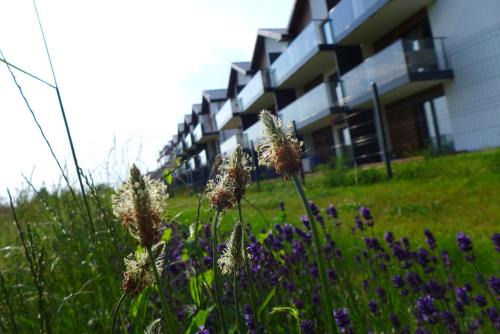 Wyspa Sobieszewska Apartamento | Pod Trzynastką
