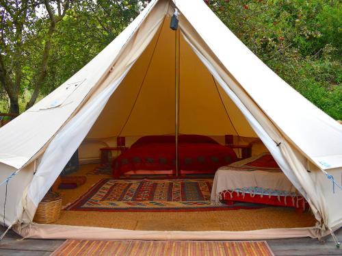 Santa Fiora Otro | Podere di Maggio - Glamping tent 3