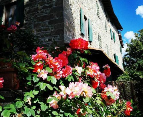 Reggello Casa | Podere I Rovai-apt IL RIFUGIO- in the heart of Tuscany