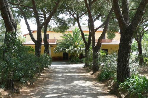 Grosseto Casa | PODERE OSLAVIA AZ.AGR.BIO GIANNINI