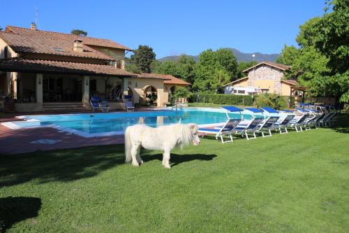 San Giuliano Terme Cama Y Desayuno | Podere San Paolo