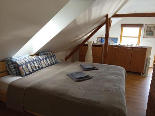 Svinarov Casa | Podkroví s koupelnou