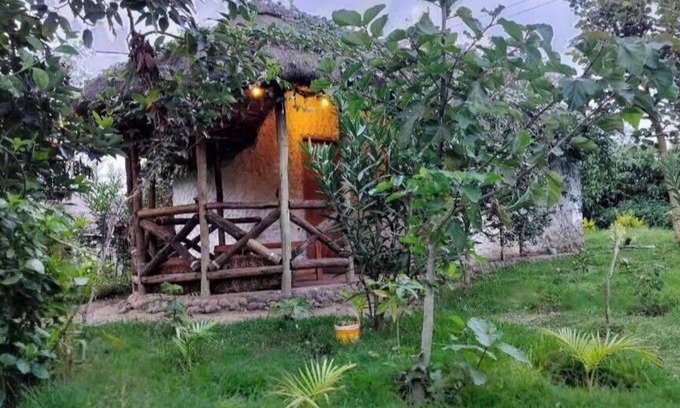 Naro Moru Cabaña | Podocarpus Cottages -02