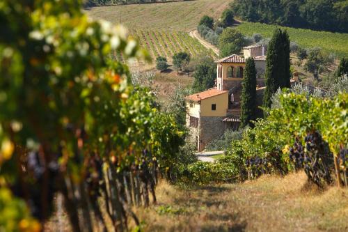 San Pietro in Bossolo Casa | Poggio Rozzi