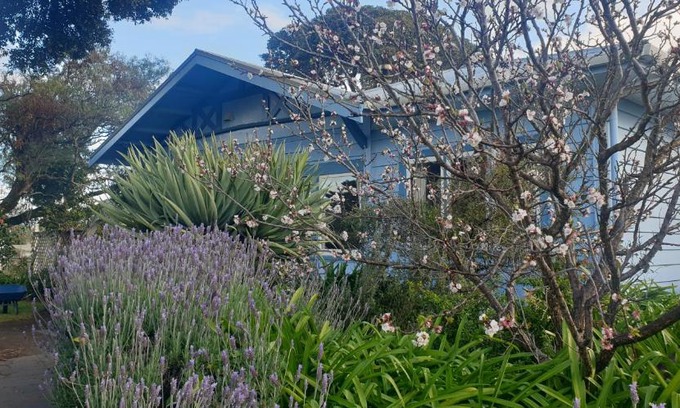 Haumoana Villa | Pohutukawa Villa