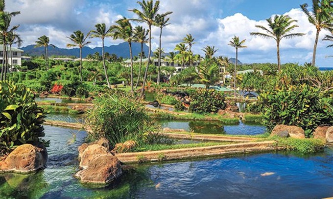 Poipu Complejo | ¡Apunte a Poipu, resort frente al mar, hermosa piscina estilo laguna!