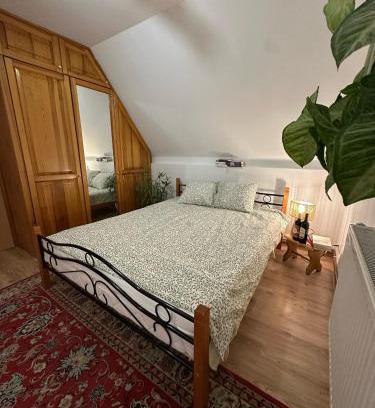 Bielsk Podlaski Casa | Pokój Cień Paproci