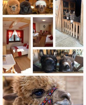 Jurgow Casa | Pokoje Gościnne Jurgowianka