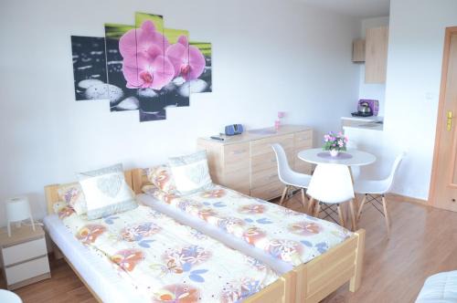 Myczkow Casa | Pokoje nad Soliną 695-533-767