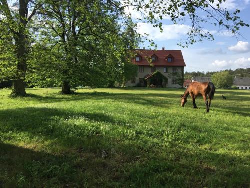 gmina Horyniec-Zdroj Casa | Polanka Agroturystyka i Konie