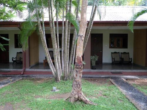 Polonnaruwa Hotel | Polonnaruwa Holidayinn