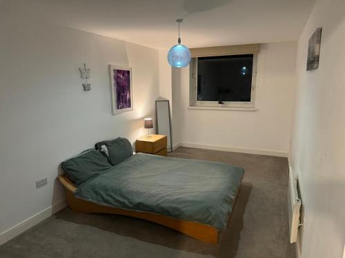 Brierley Hill Apartamento | Pond View Spacious Apartment