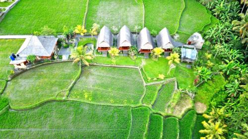 Peliatan Cabina | Pondok Gandalangu Ubud-Dikelilingi Hamparan Sawah