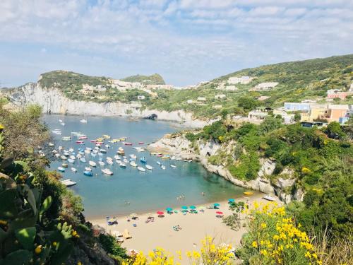 Le Forna Apartamento | Ponza Cala Feola IMMOBILEVANTE