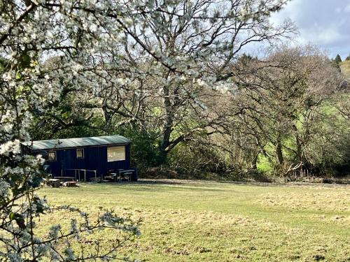 Hastings Otro | Pop up campsites