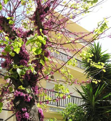 Ierapetra Apartamento | Popy Apartments