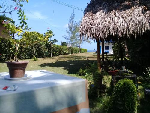 Montañita Apartamento | Portón Azul