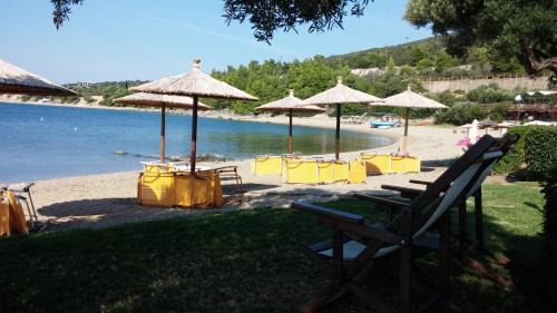 Psakoudia Apartamento | Porto Psakoudia