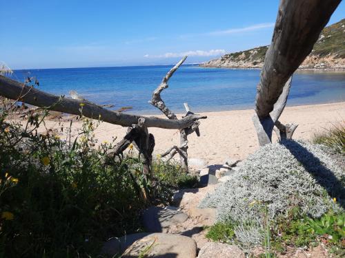 Terravecchia-Portoquadro Apartamento | Porto Quadro vista Mare e vista Corsica