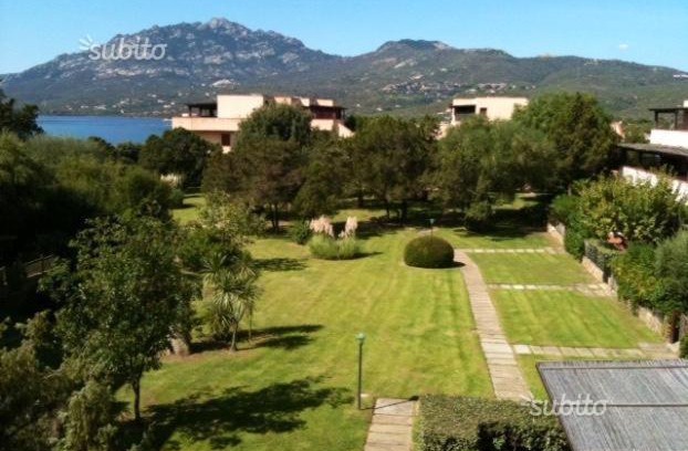 Porto Rotondo Apartamento | Porto Rotondo Lovely Apartment