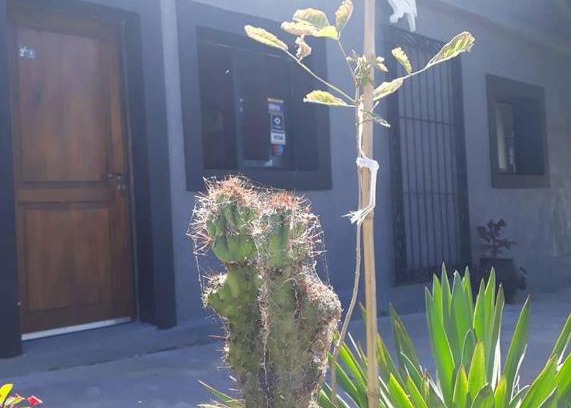 Carlos Reyles Hotel | Posada Don Manuel