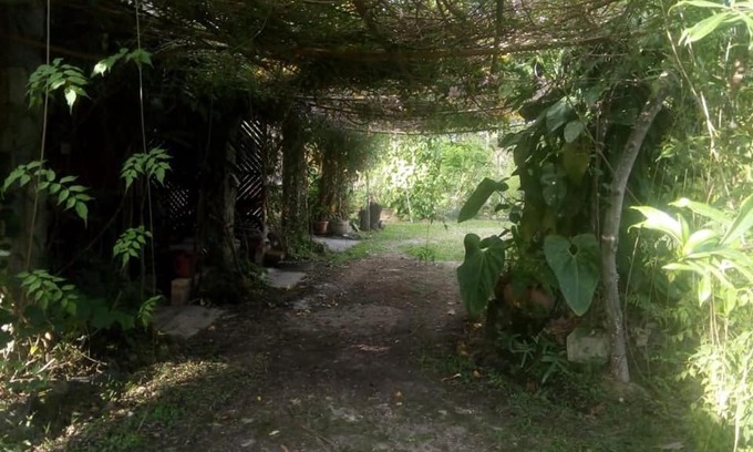 Siguatepeque Cabina | Posada El Malcotal