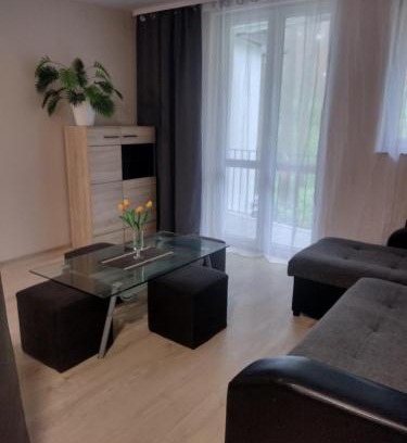 Sulejow Apartamento | Positive energy 2