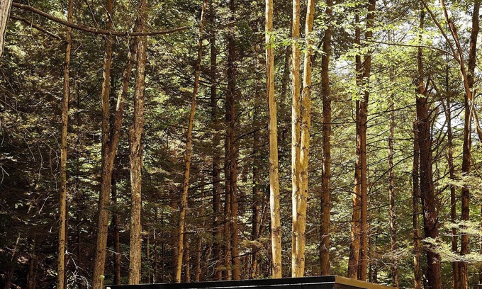 Catskill Cabina | Postcard Cabins Eastern Catskills