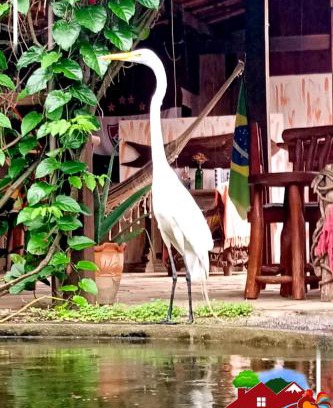Penedo Chalet De Esquí | Pousada Chalé na Roça Penedo