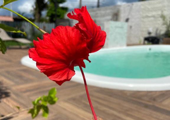 Praia de Leste Hotel | Pousada do Mestre