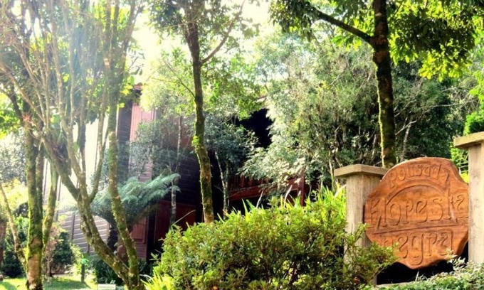 Centro Hotel | Pousada Floresta Negra