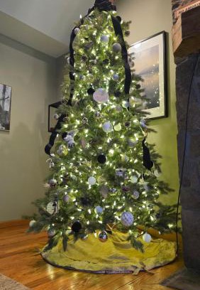 McHenry Casa | Powder N Wakes