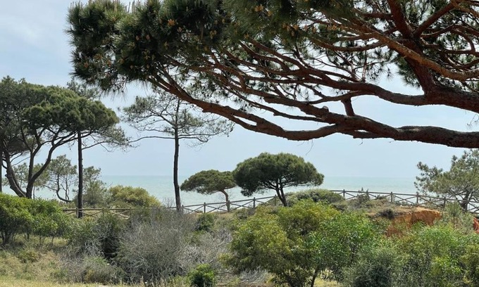 Alfa-Mar Casa | Praia da Falésia Alfa Mar Albufeira