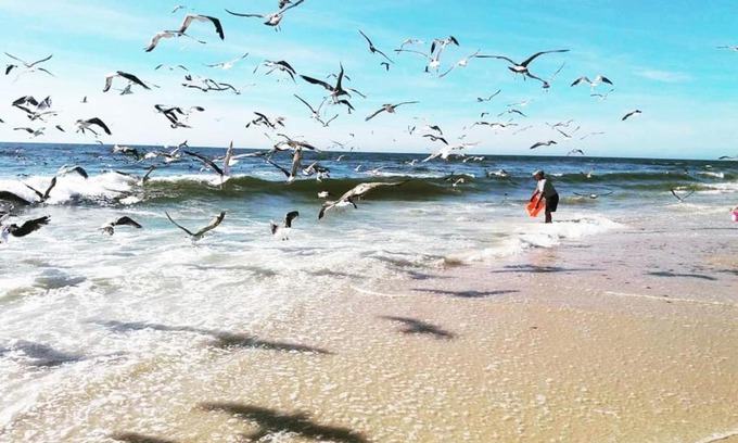Torreira Apartamento | Praia da Torreira à Vista