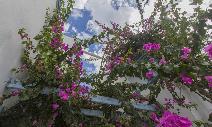 Kamari Hotel | Preka Maria Hotel