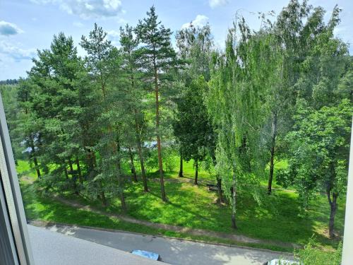 Birzai Apartamento | Prie Agluonos