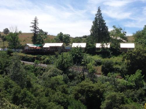 Priest Hotel | Priest Station Cafe & Cabins