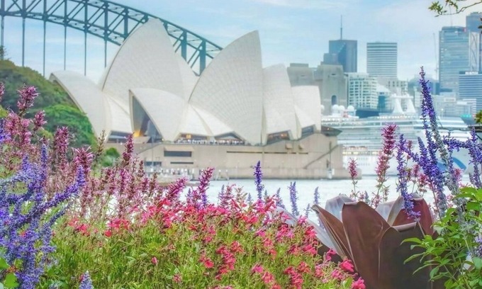 Elizabeth Bay Apartamento | Prime location, Comfy stay!