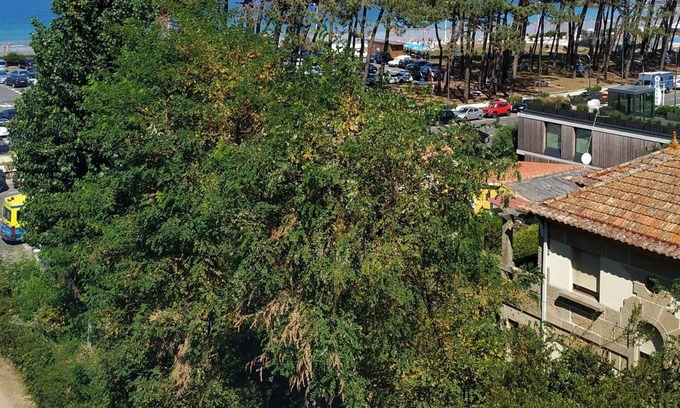 Alcabre Apartamento | Primera Línea De Playa Avenida De Samil 55