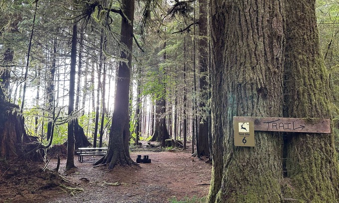 Forks Alquiler De RV | Primitive Tent Site #6- Beautiful Forested Property