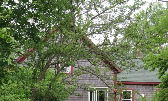 Barrington Casa | Privacy Within Community