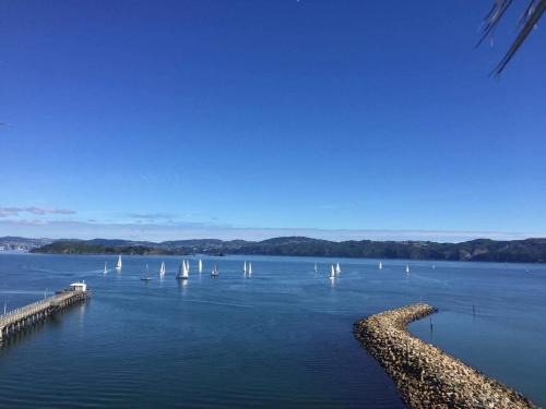 Lowry Bay Cama Y Desayuno | Private 1 bedroom with amazing sea views