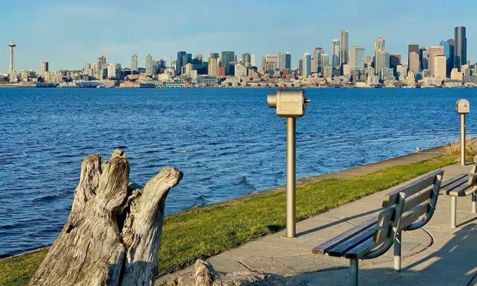 Roxhill Apartamento | Private 1 BR Apt near the Beach, Airport, and quick commute to Downtown Seattle