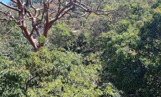Santa Ana Apartamento | Private 2 Bedroom Condo, Surrounded by Nature