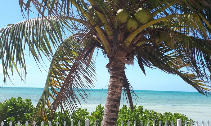 Coral Harbour Cabaña | Private and Peaceful Cottage at the Beach