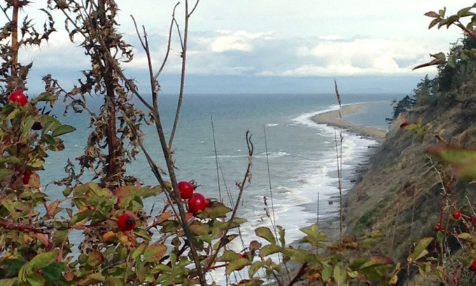 Port Angeles Casa | Peacock Pad: hogar limpio y cómodo con un sendero de playa entre Sequim y PA