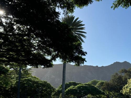 Diamond Head - Kapahulu - St. Louis Casa | Private Bedroom in Shared Guesthouse Waikiki Beach Area