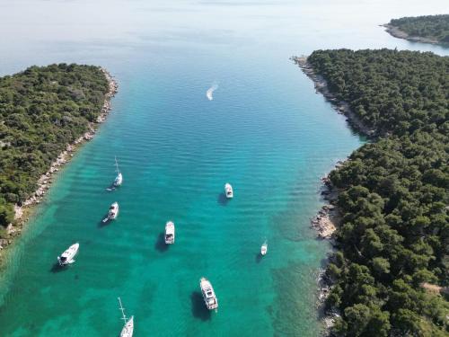 Punat Alquiler De Eote | Private Bootstouren Motoryacht