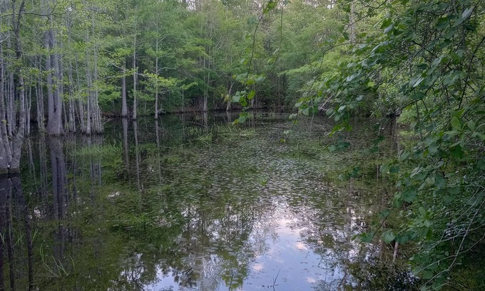 Graceville Alquiler De RV | Private camping near Panama City and Panama City Beach. Includes a fire pit 🔥